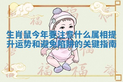 生肖鼠今年要注意什么属相提升运势和避免陷阱的关键指南