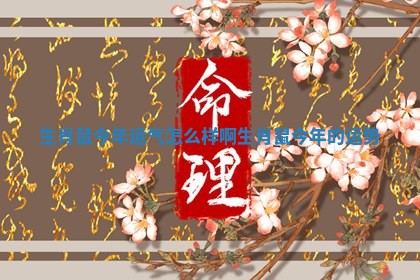 生肖鼠今年运气怎么样啊_生肖鼠今年的运势