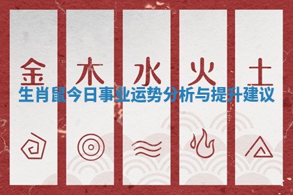 生肖鼠今日事业运势分析与提升建议