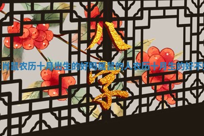 生肖鼠农历十月出生的好吗 属鼠的人农历十月生的好不好