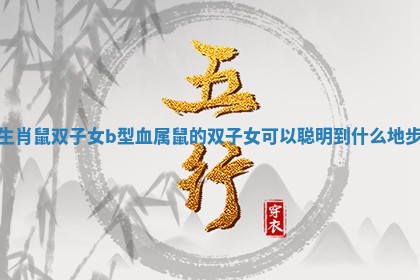 生肖鼠双子女b型血_属鼠的双子女可以聪明到什么地步