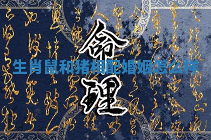 生肖鼠和猪相配婚姻怎么样_