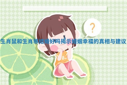 生肖鼠和生肖够结婚好吗揭示婚姻幸福的真相与建议