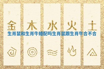生肖鼠和生肖牛婚配吗_生肖鼠跟生肖牛合不合