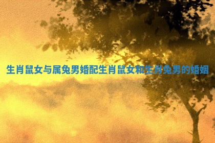 生肖鼠女与属兔男婚配_生肖鼠女和生肖兔男的婚姻