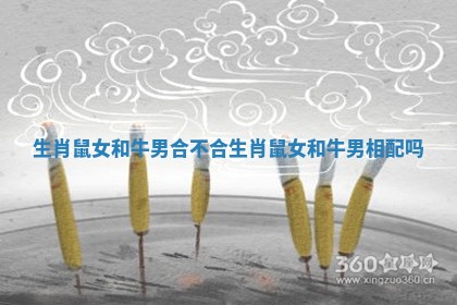 生肖鼠女和牛男合不合 生肖鼠女和牛男相配吗