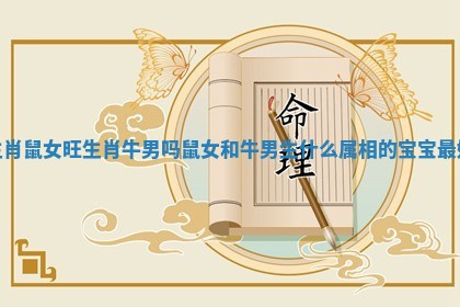 生肖鼠女旺生肖牛男吗_鼠女和牛男生什么属相的宝宝最好