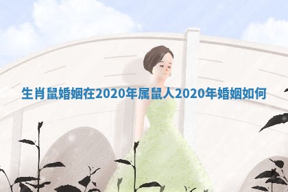 生肖鼠婚姻在2020年_属鼠人2020年婚姻如何