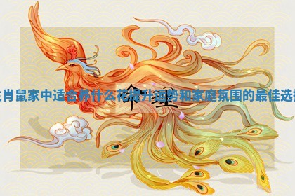 生肖鼠家中适合养什么花提升运势和家庭氛围的最佳选择