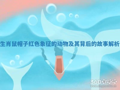 生肖鼠帽子红色象征的动物及其背后的故事解析