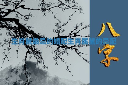 生肖鼠最忌的婚配生肖_属鼠的忌配 生肖鼠最忌的婚配生肖_属鼠的忌配