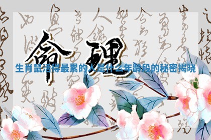 生肖鼠活得最累的人是什么年龄段的秘密揭晓 生肖鼠活得最累的人是什么年龄段的秘密揭晓