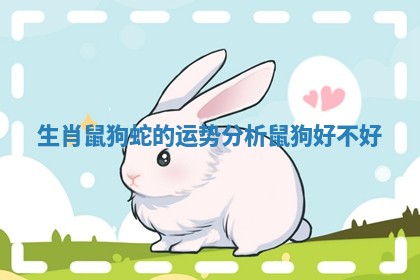 生肖鼠狗蛇的运势分析_鼠狗好不好