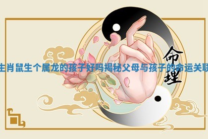 生肖鼠生个属龙的孩子好吗揭秘父母与孩子的命运关联