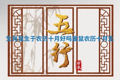 生肖鼠生于农历十月好吗 属鼠农历十月生