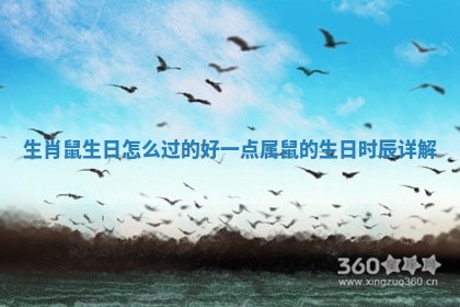 生肖鼠生日怎么过的好一点 属鼠的生日时辰详解