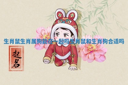 生肖鼠生肖属狗能在一起吗 生肖鼠和生肖狗合适吗