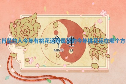 生肖鼠的人今年有桃花运吗 属鼠的今年桃花运在哪个方向 生肖鼠的人今年有桃花运吗 属鼠的今年桃花运在哪个方向