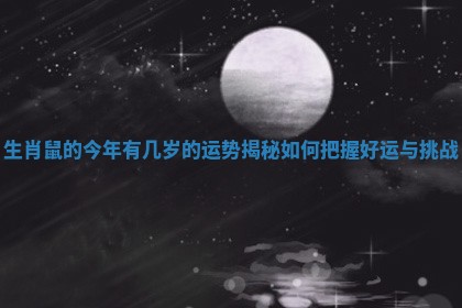 生肖鼠的今年有几岁的运势揭秘如何把握好运与挑战