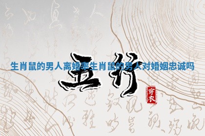 生肖鼠的男人离婚率_生肖鼠的男人对婚姻忠诚吗