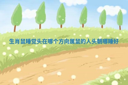 生肖鼠睡觉头在哪个方向 属鼠的人头朝哪睡好