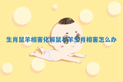 生肖鼠羊相害化解_鼠与羊生肖相害怎么办