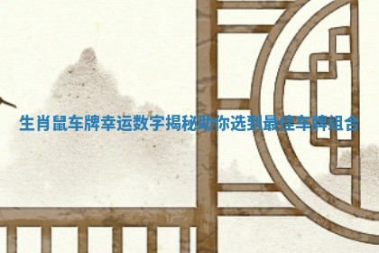 生肖鼠车牌幸运数字揭秘助你选到最佳车牌组合