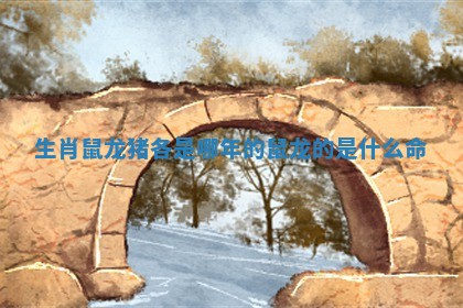 生肖鼠龙猪各是哪年的_鼠龙的是什么命