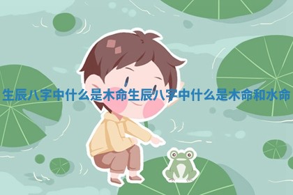 生辰八字中什么是木命 生辰八字中什么是木命和水命