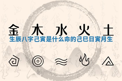 生辰八字己寅是什么命的 己巳日寅月生