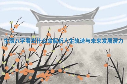 生辰八字看出什么命解析人生轨迹与未来发展潜力