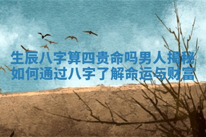 生辰八字算四贵命吗男人揭秘 如何通过八字了解命运与财富