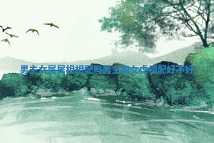 男主女属属相相配吗 男主和女虎相配好不好