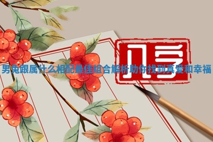 男兔跟属什么相配最佳组合解析助你找到真爱和幸福