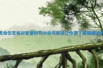 男命伤官格对老婆好吗分析与解读让你更了解婚姻运势