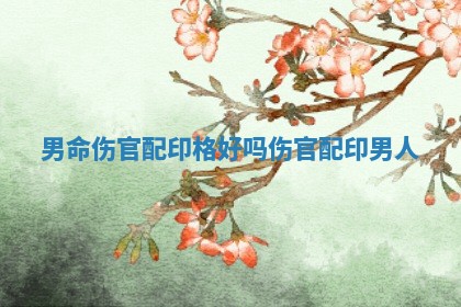 男命伤官配印格好吗_伤官配印男人