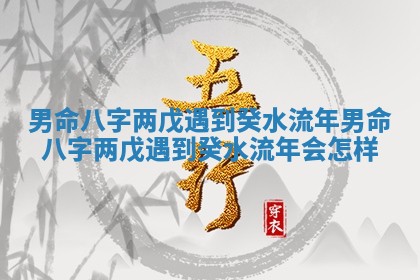 男命八字两戊遇到癸水流年_男命八字两戊遇到癸水流年会怎样