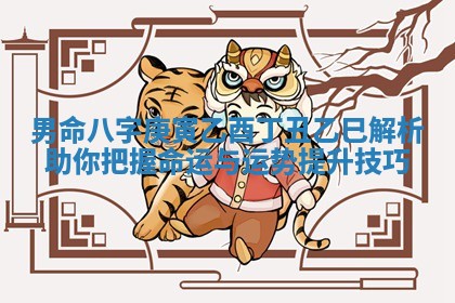 男命八字庚寅乙酉丁丑乙巳解析助你把握命运与运势提升技巧