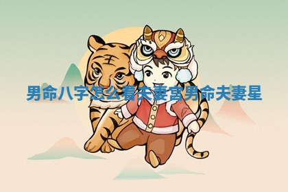 男命八字怎么看夫妻宫_男命夫妻星