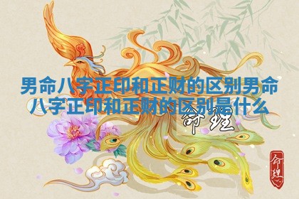 男命八字正印和正财的区别_男命八字正印和正财的区别是什么