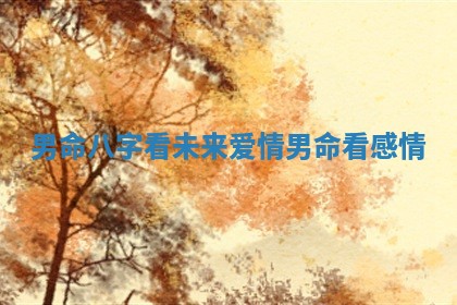 男命八字看未来爱情 男命看感情