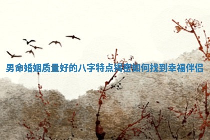 男命婚姻质量好的八字特点揭密如何找到幸福伴侣 男命婚姻质量好的八字特点揭密如何找到幸福伴侣