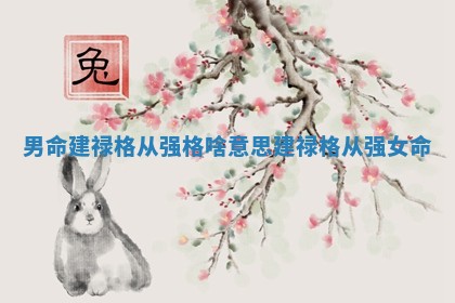男命建禄格从强格啥意思_建禄格从强女命