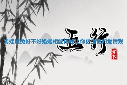 男娃属兔好不好婚姻相配揭秘让你更懂他的爱情观
