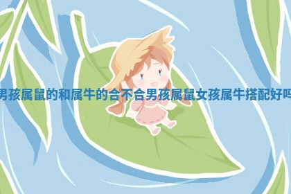 男孩属鼠的和属牛的合不合 男孩属鼠女孩属牛搭配好吗