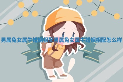 男属兔女属牛婚姻相配_男属兔女属牛婚姻相配怎么样