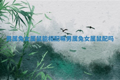 男属兔女属鼠能相配嘛 男属兔女属鼠配吗