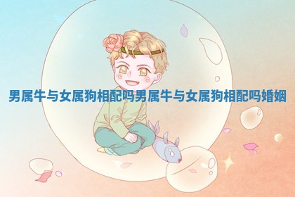 男属牛与女属狗相配吗_男属牛与女属狗相配吗婚姻