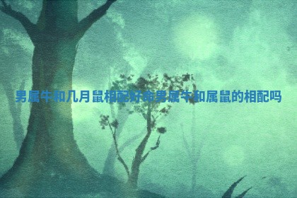 男属牛和几月鼠相配好命 男属牛和属鼠的相配吗 男属牛和几月鼠相配好命 男属牛和属鼠的相配吗