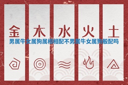 男属牛女属狗属相相配不_男属牛女属狗般配吗